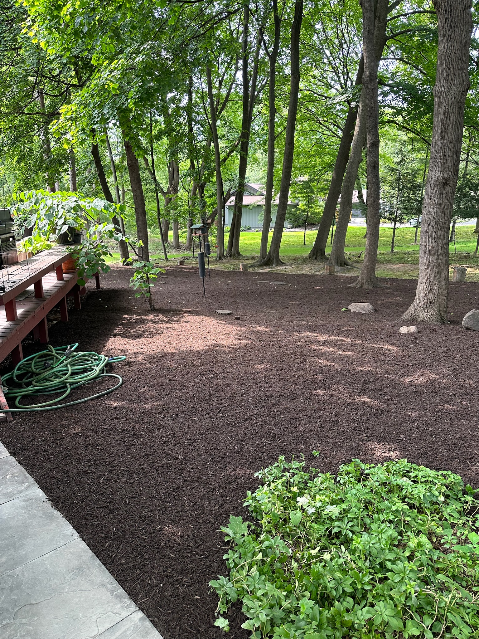 2023 mulch refresh after photo 3